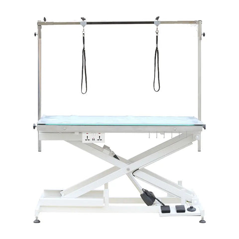 Electric Lifting Pet Grooming Table with LED Light Dog grooming Table