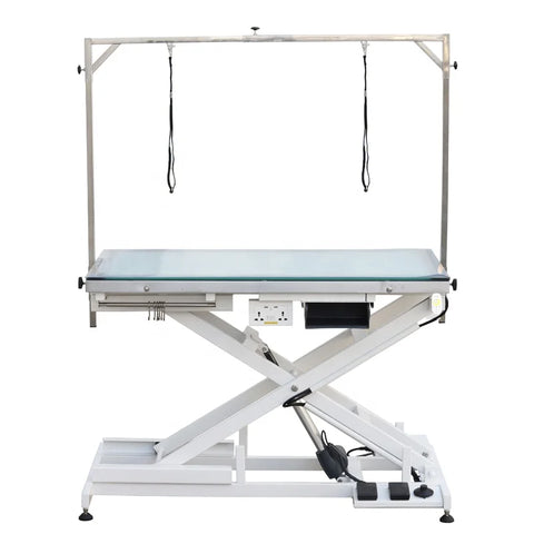 LED Pet Grooming Table Electric Lifting Light Remote Control
