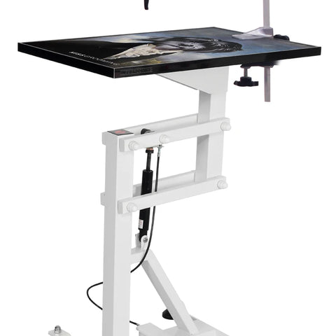 Pet air lift grooming table Multiple options grooming table hydraulic Factory OEM Non-slip desktop pet air lift grooming table