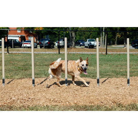 dog park courses