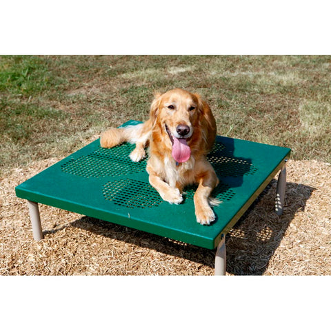dog park courses