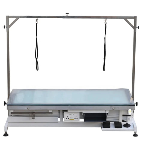 LED Pet Grooming Table Electric Lifting Light Remote Control