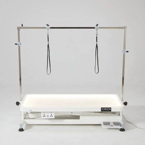 Electric Lifting Pet Grooming Table with LED Light Dog grooming Table