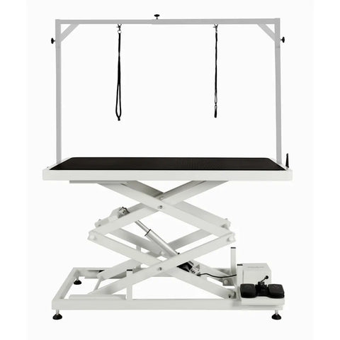 Accordion Electrical Dog Pet Grooming Table