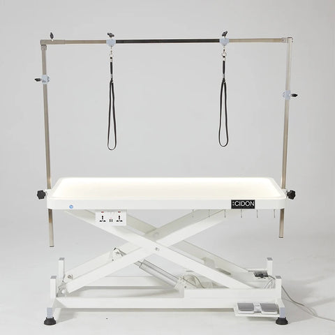 Electric Lifting Pet Grooming Table with LED Light Dog grooming Table