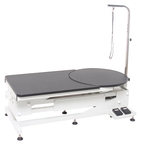 pet Rotating grooming table Aeolus Big Z Electric Lifting dog salon Round equip swivel arm pet Rotating grooming table factory