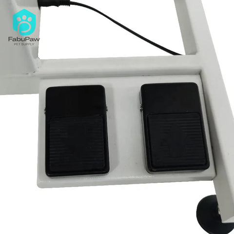 Adjustable Grooming Table Dog Salon Shop Electric Lift Professional Grooming Table