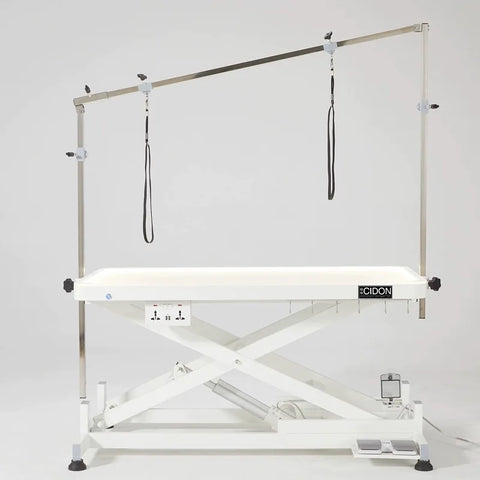 Electric Lifting Pet Grooming Table with LED Light Dog grooming Table