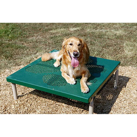 Dog Park Training playground Equipment Spray Fire Hydrant