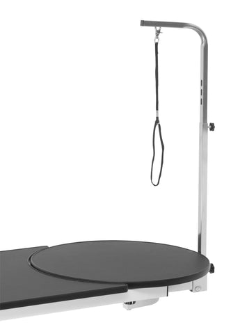 pet Rotating grooming table Aeolus Big Z Electric Lifting dog salon Round equip swivel arm pet Rotating grooming table factory