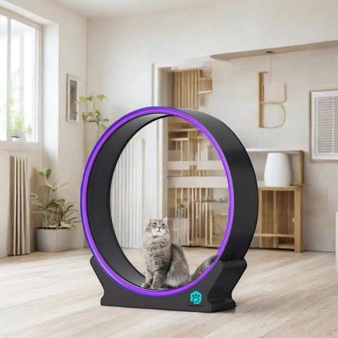 Petsproofing Interactive ABS Tread Exercise Running Wheel Sustainable Anti-Depression Fun Treadmill for Cats and Dogs